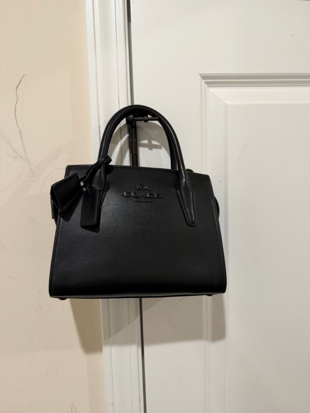 Coach Andrea Small Carryall Bag - Picture 5 of 9